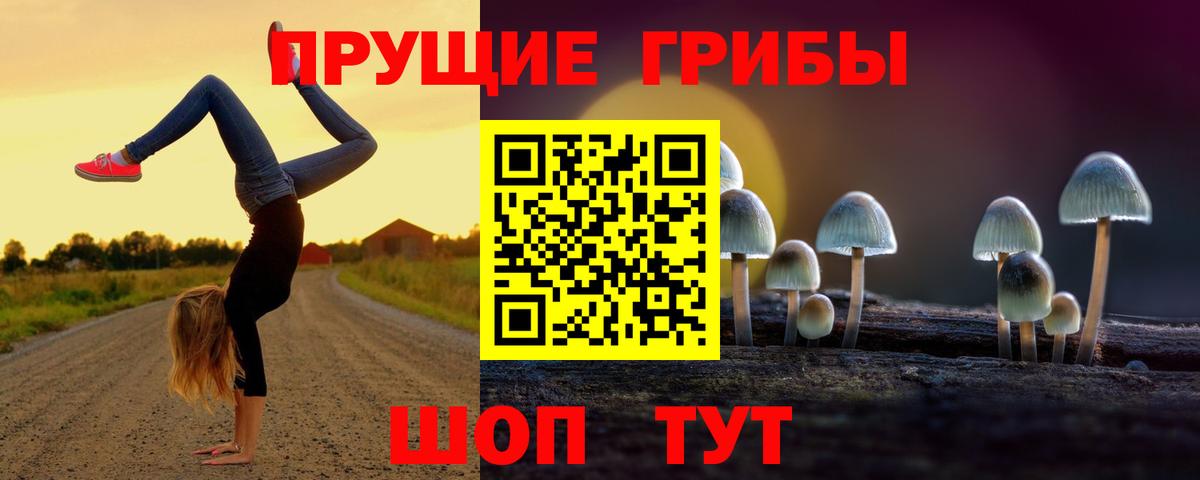 Галлюциногенные грибы мухоморы  Вход с VPN  Соль-Илецк  Псилоцибиновые грибы прущие грибы 